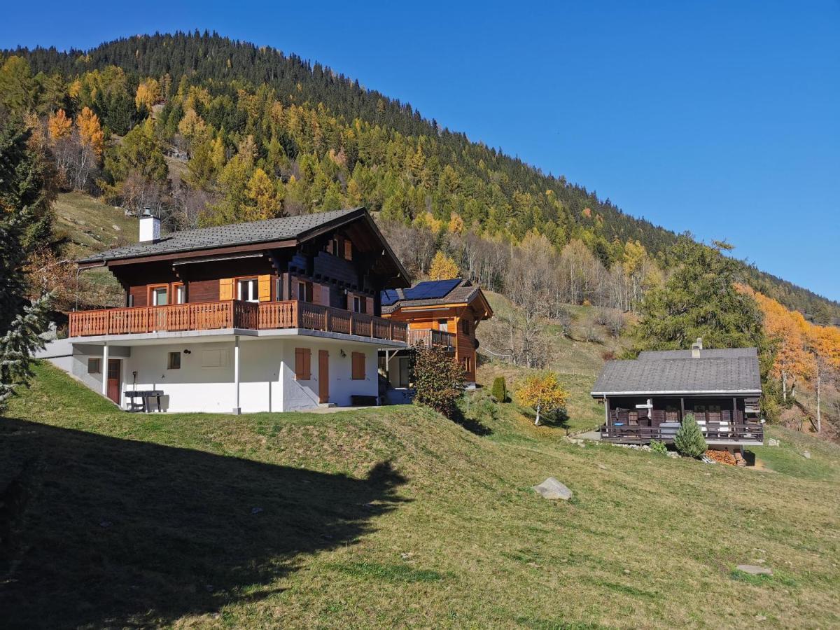 Mit Traumhafter Aussicht Apartment